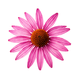 C Vitamini