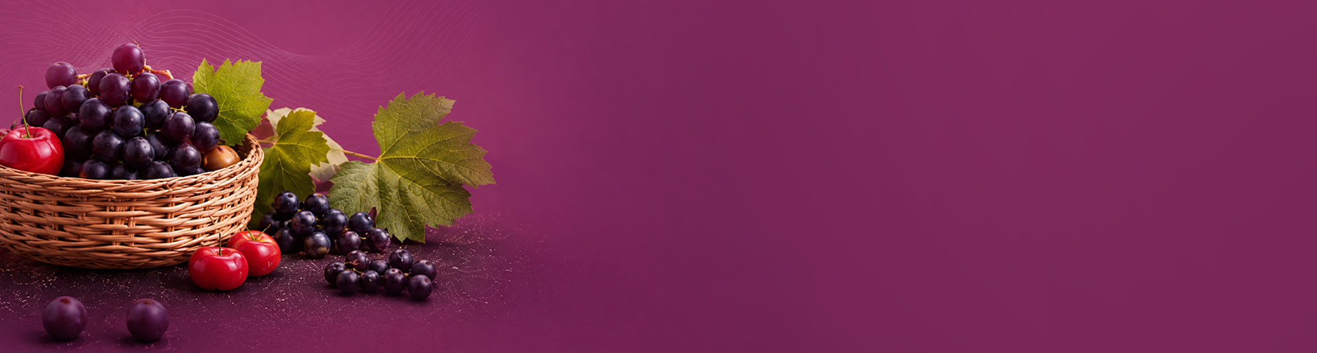 Resveraplus Footer